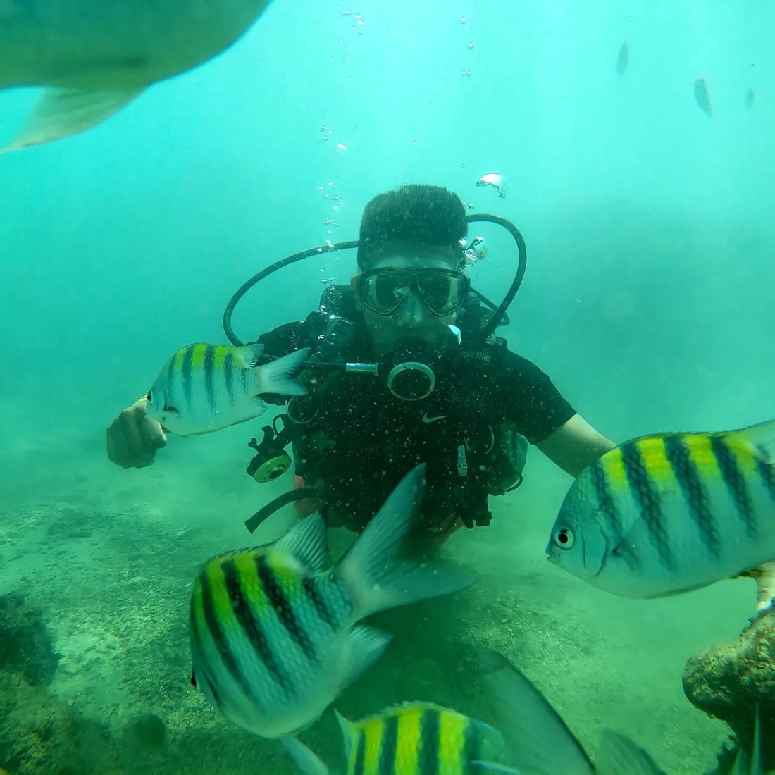Mergulho em alto mar